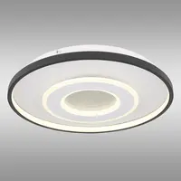 Stropná lampa Brienna 48552D LED PL1