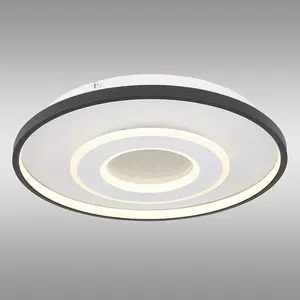 Stropná lampa Brienna 48552D LED PL1