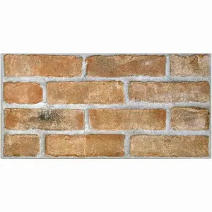 Fasádní Obklad Brick Red 31/62