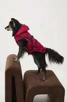 Bunda pro mazlíčka Medicine