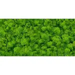 Dekor Pure Moss Glass 30/60