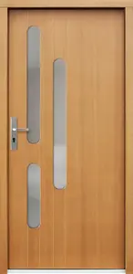 Venkovní vchodové dveře P61