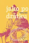 Jako po drátku - Ondřej Šanc - kniha z kategorie Společenská beletrie