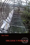 Oblázek v peřejích - Jan Vítek