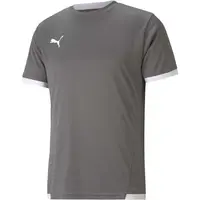 Puma TEAM LIGA JERSEY Pánske futbalové tričko, sivá, veľkosť