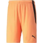 Puma TEAM LIGA SHORTS Pánske šortky, oranžová, veľkosť