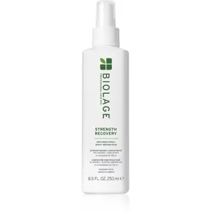 Biolage Strength Recovery Strenght Recovery posilující sprej pro poškozené vlasy 250 ml