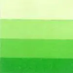 Grafická barva Charbonnel 200ml – spring green