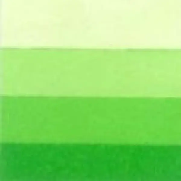 Grafická barva Charbonnel 200ml – spring green