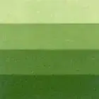 Grafická barva Charbonnel 200ml – medium green