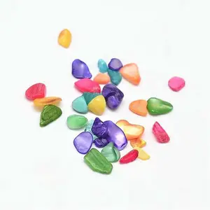 Dyed Natural Freshwater Shell Chip Beads