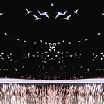 Brother Adam – Descent