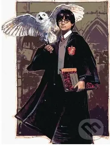 Malování podle čísel: Harry Potter - Harry a Hedvika v Bradavicích