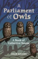 A Parliament of Owls - Rhodes Chloe
