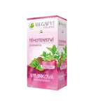 MEGAFYT Bylinková lekáreň Tehotenstvo 20 x 1.5 g