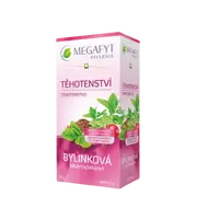 MEGAFYT Bylinková lekáreň Tehotenstvo 20 x 1.5 g