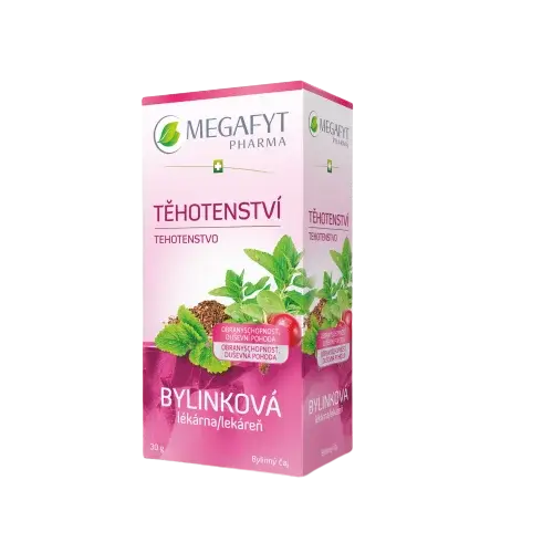 MEGAFYT Bylinková lekáreň Tehotenstvo 20 x 1.5 g