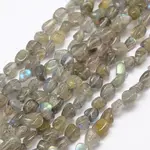 Natural Labradorite Beads Strands