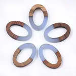 Resin & Walnut Wood Pendants