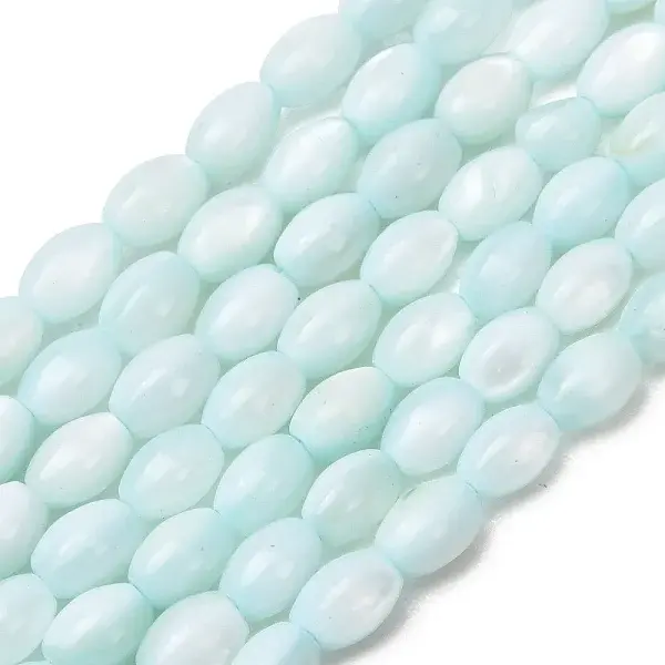Dyed Natural Freshwater Shell Beads Strands