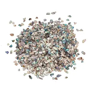 1 Bags Abalone Shell Flakes Cabochons