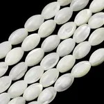 Natural Trochid Shell/Trochus Shell Beads Strands