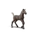 Schleich Sběratelské hříbě Darcy