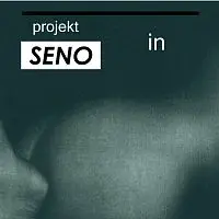 Projekt SENO – IN