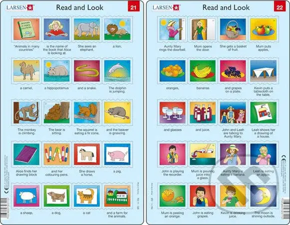 Read and Look 21-30 (set)