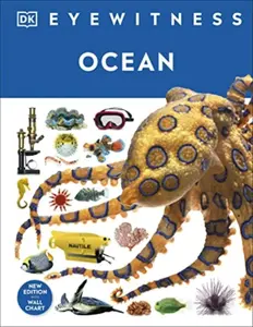 Ocean - DK