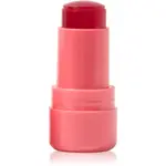 Technic Cosmetics Jelly Tint lícenka v tyčinke na pery a líca odtieň Peach Fizz 9 g