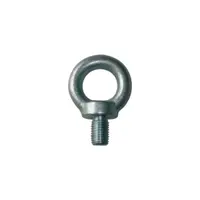 Šroub očkový, 22 DIN 580, ENPRO