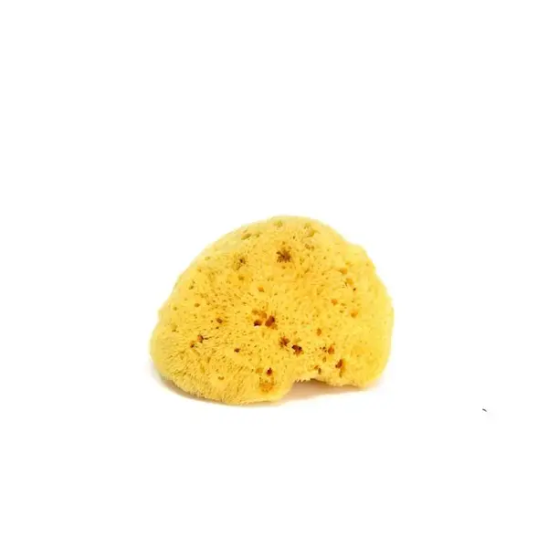 OK Baby Houbička na mytí Silk Fine 14