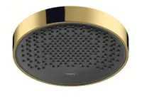 Hansgrohe Rainfinity - Hlavová sprcha 250, EcoSmart, leštený vzhľad zlata 26229990