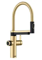 Blanco EVOL-S Pro - Dřezová baterie s flexibilním ramenem, sprškou a filtrační funkcí, zlatá/černá 527430