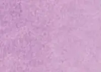 Akvarelová barva DS 15ml – 231 Wisteria