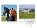 Nástěnný kalendář Horses 2026