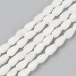 Natural Freshwater Shell Beads Strands