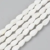 Natural Freshwater Shell Beads Strands