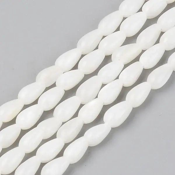 Natural Freshwater Shell Beads Strands
