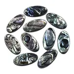 Natural Abalone Shell/Paua Shell Cabochons