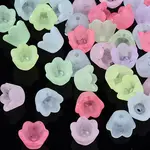 Transparent Acrylic Beads
