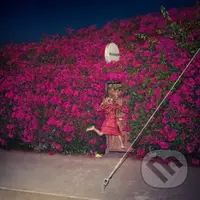 Feist: Pleasure LP - Feist