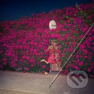 Feist: Pleasure LP - Feist