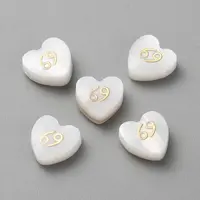 5Pcs Natural White Shell Beads