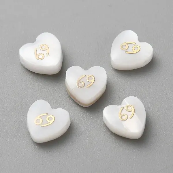 5Pcs Natural White Shell Beads
