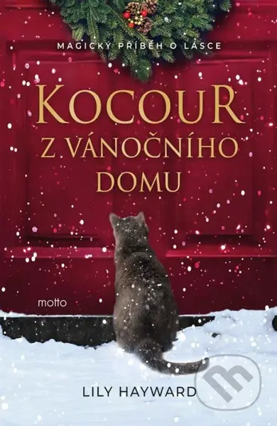 Kocour z vánočního domu - Lili Hayward - kniha z kategorie Romantická