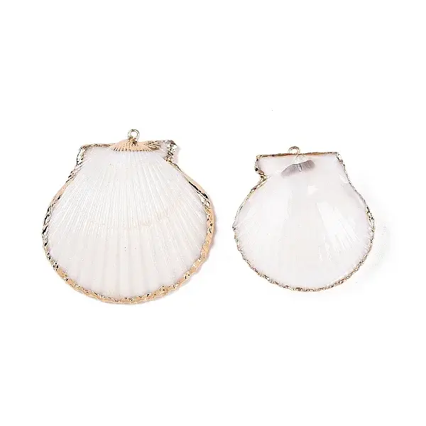 Natural Scallop Shell Pendants