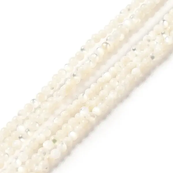 Natural White Shell Beads Strands
