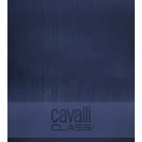 Pánská plážová osuška Cavalli Class